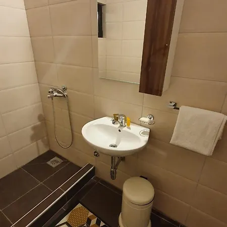 Dom Sa Pogledom Jela Jelasnica (Niska Banja)
