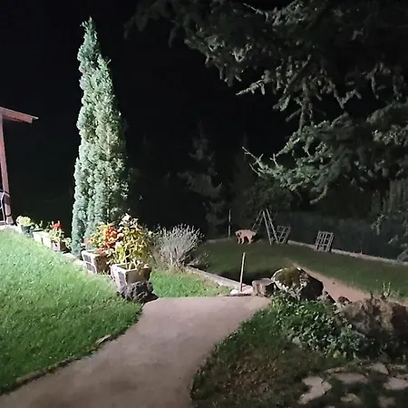 Dom Sa Pogledom Jela * Jelasnica (Niska Banja)