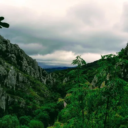 Dom Sa Pogledom Jela *